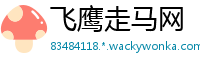 飞鹰走马网